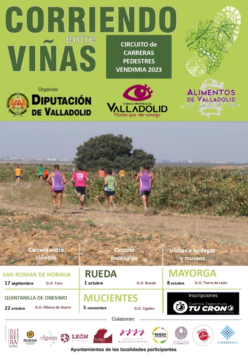 CORRIENDO ENTRE VIÑAS MAYORGA - Inscríbete